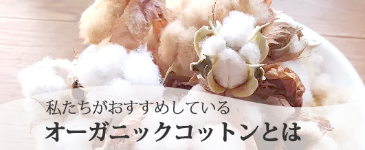 私たちがおすすめしているオーガニックコットンとは