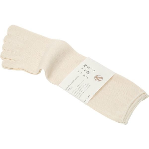 オーガニックコットン＆シルク 冷えとり5本指ソックス