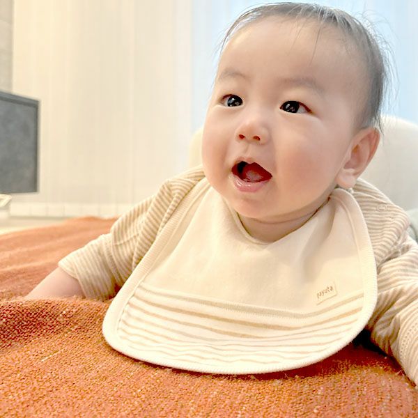 オーガニックコットン ボーダースタイ