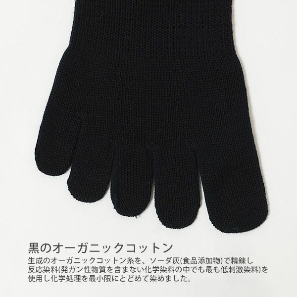 オーガニックコットン 裏糸なし5本指薄手ソックス