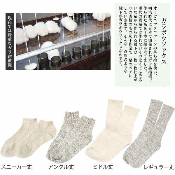 オーガニックコットン ガラボウソックスレギュラー丈