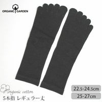 オーガニックコットン 五倍子 5本指ソックス