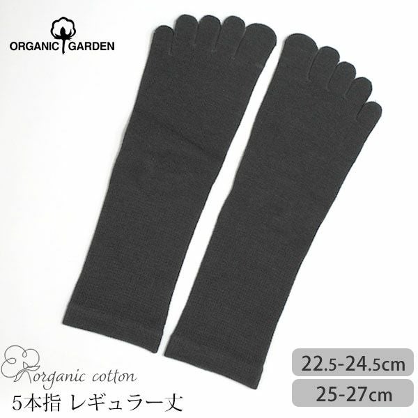 オーガニックコットン 五倍子 5本指ソックス