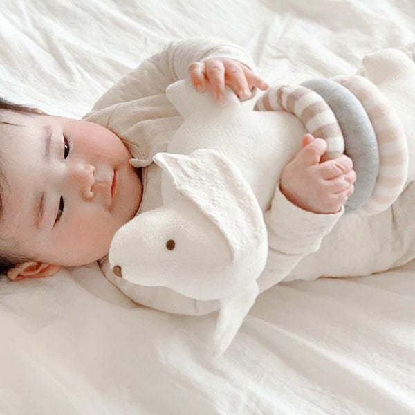 オーガニックコットン ぬいぐるみ リングダックス