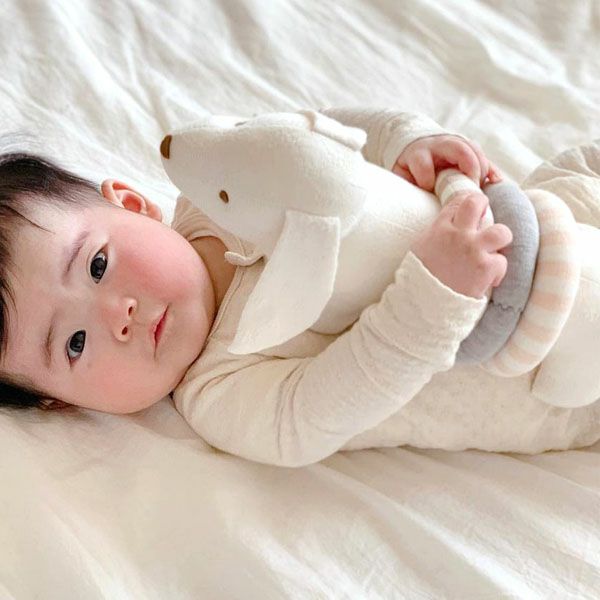 オーガニックコットン ぬいぐるみ リングダックス