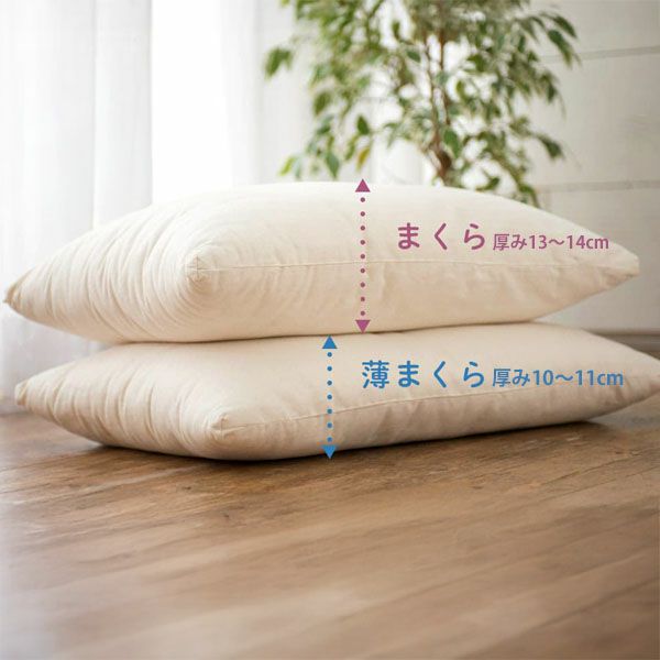 オーガニックコットン まくら きなり 43×63 | オーガニックコットンの