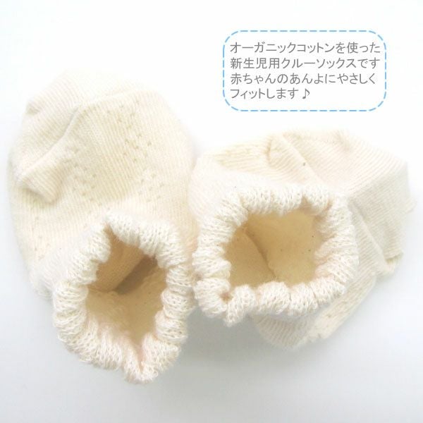 オーガニックコットン ベビークルーソックス