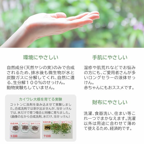 オーガニックナチュラルパームソープ 1L