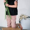 オーガニックコットン キッズパンツ Calla