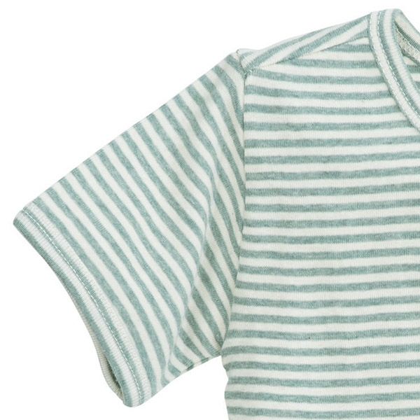 オーガニックコットン キッズ フライスTシャツStripe (半袖)