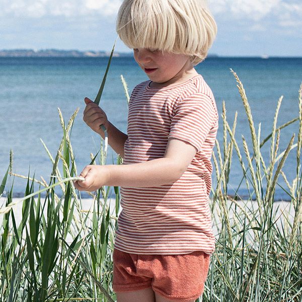 オーガニックコットン キッズ フライスTシャツStripe (半袖)
