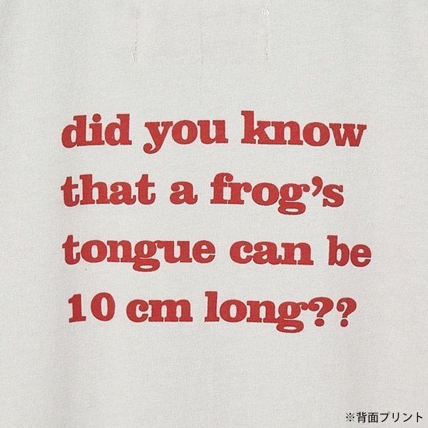 オーガニックコットン キッズ Tシャツ Quak(半袖)