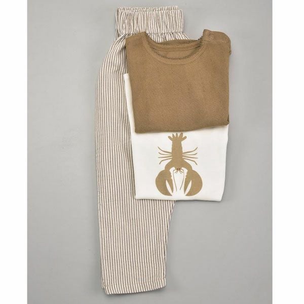 オーガニックコットン キッズポインテルTシャツ（半袖）