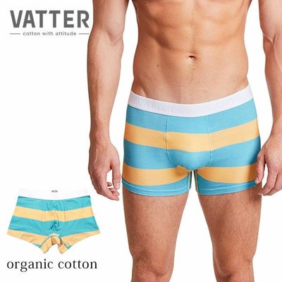 オーガニックコットン メンズボクサーパンツ TrunkShort BlockStripes