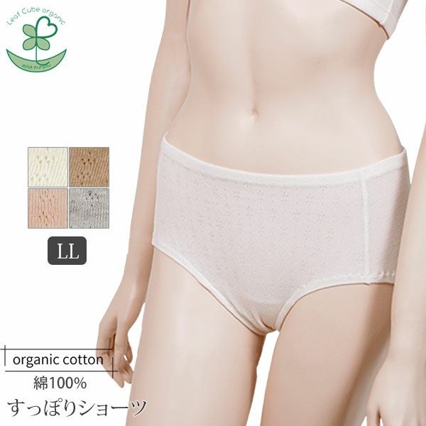 オーガニックコットン【ハニーヴァモ】すっぽりショーツ