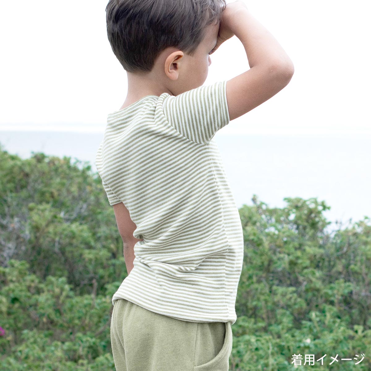 オーガニックコットン キッズ フライスTシャツStripe (半袖)