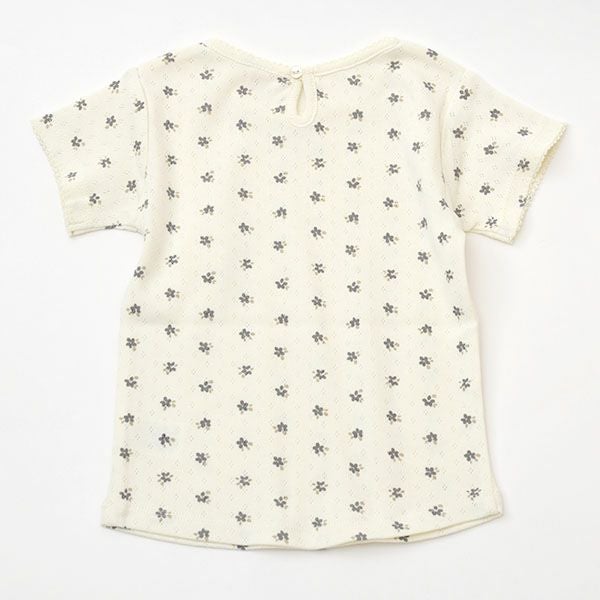 オーガニックコットン ベビーポインテル Tシャツ(半袖)