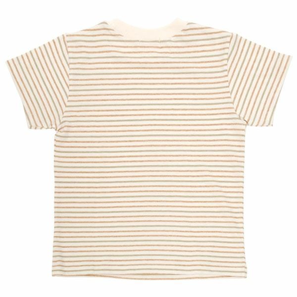 オーガニックコットン キッズ 半袖Tシャツ