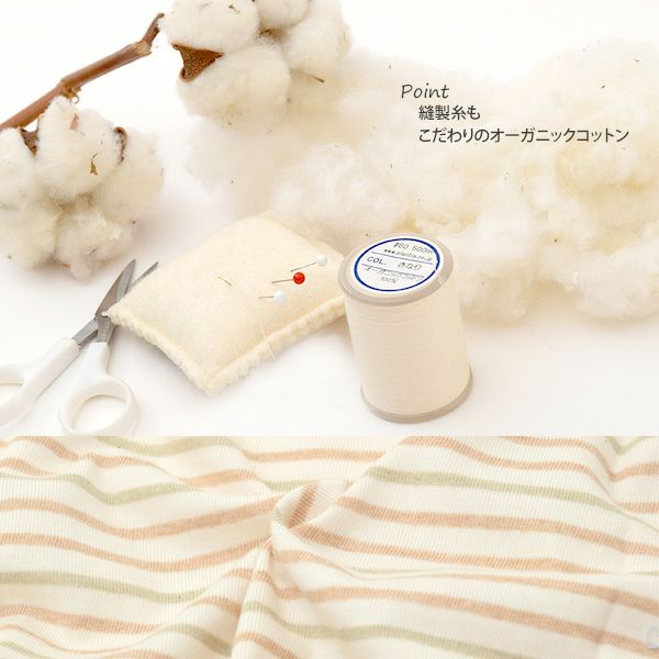 オーガニックコットン キッズ半袖ボーダーTシャツ