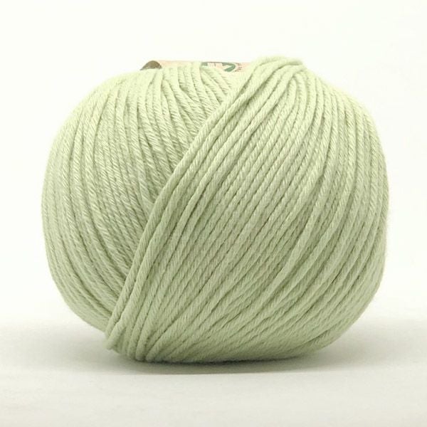 オーガニックコットン Supersoft Cotton yarn 50g Pistachio