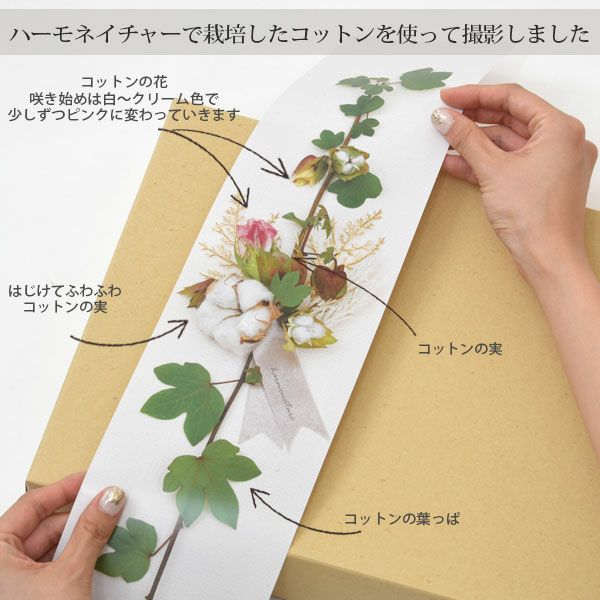 ギフトラッピング クラフトボックス Black