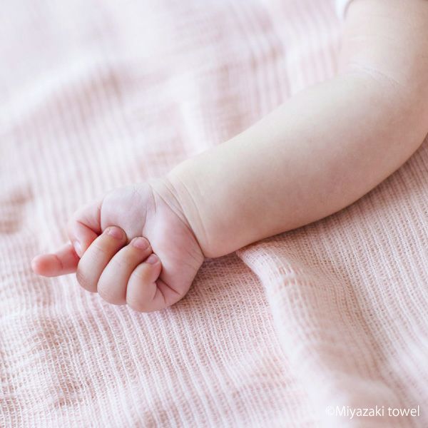 オーガニックコットン 今治ブランケットベーシック