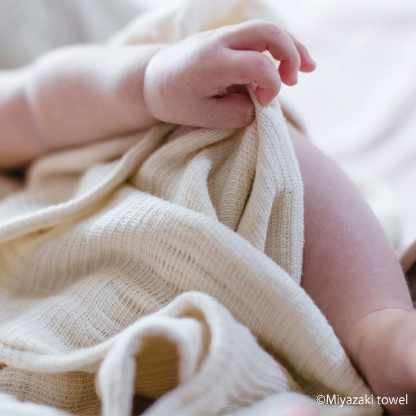 オーガニックコットン 今治ブランケットベーシック