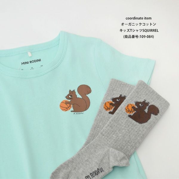 オーガニックコットン キッズソックスSUPER SPORTY3足組