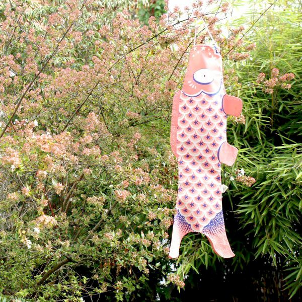 オーガニックコットン KOINOBORI こいのぼり S