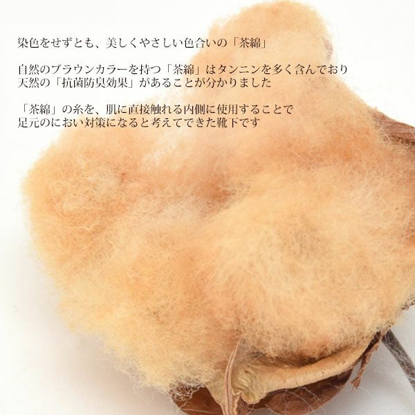 オーガニックコットン 配色ソックスLサイズ