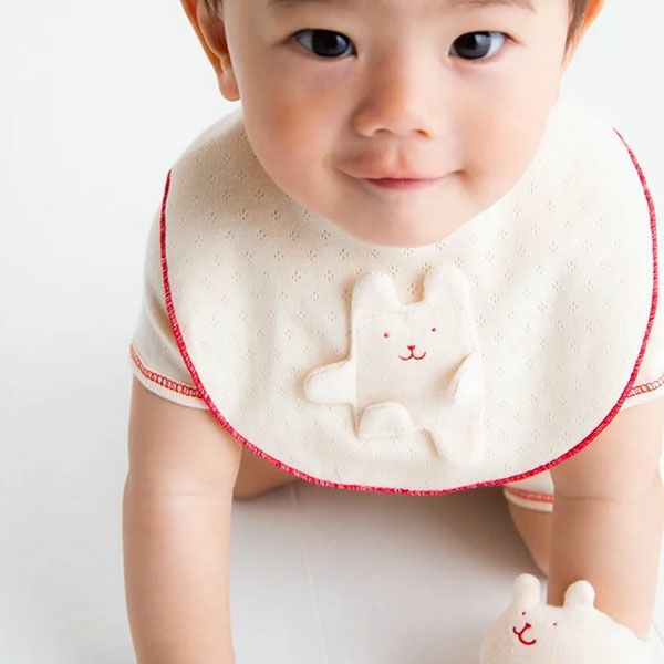 オーガニックコットン ミディアムチップス