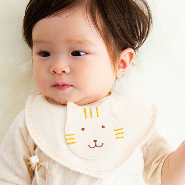 オーガニックコットン にゃんこチップス