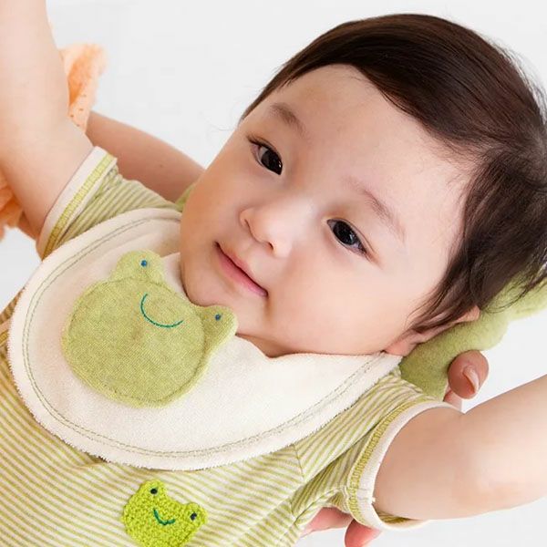 オーガニックコットン かえるチップス