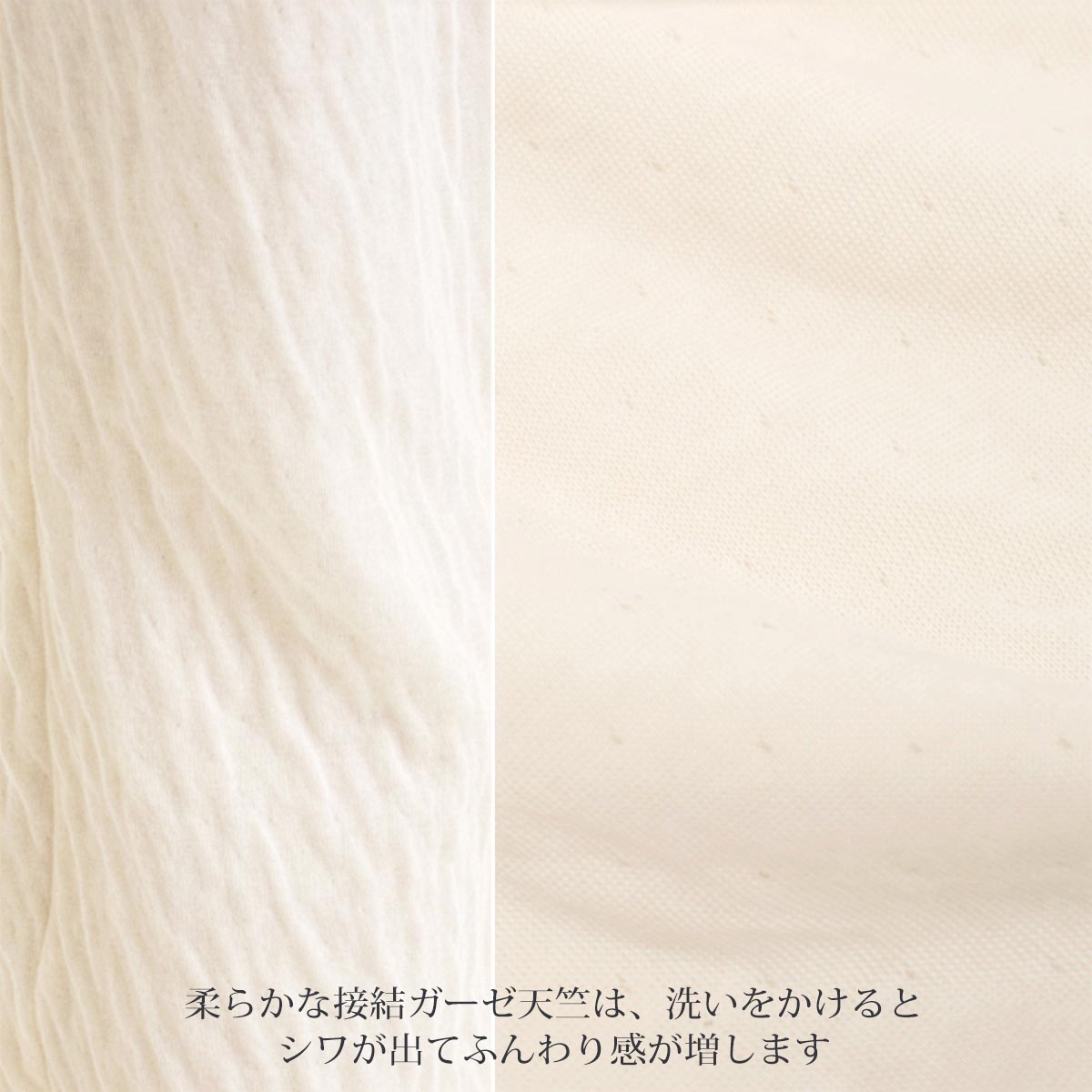 オーガニックコットン リリー襟付きパジャマトップス