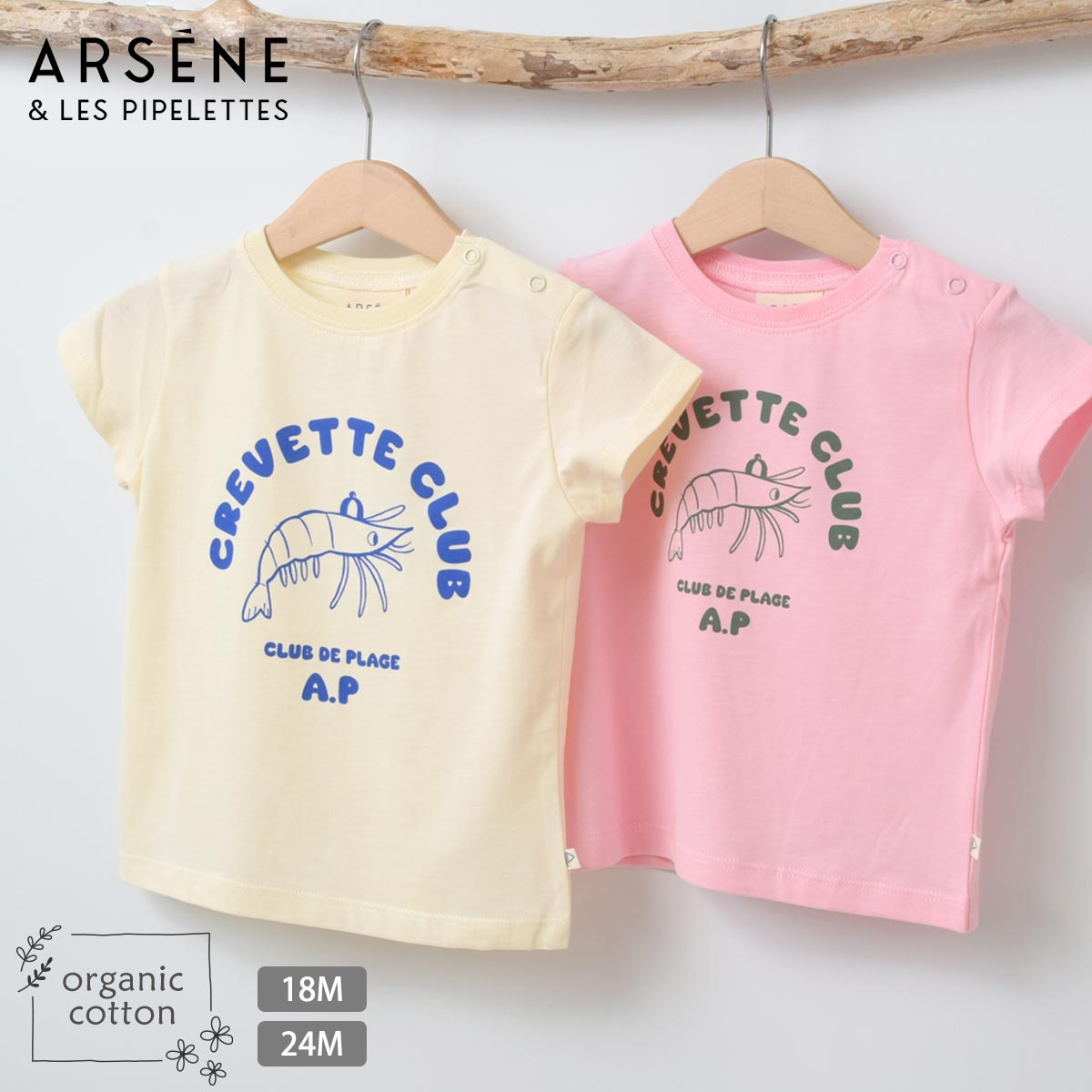 000000015270-01.jpg?size=m&w=